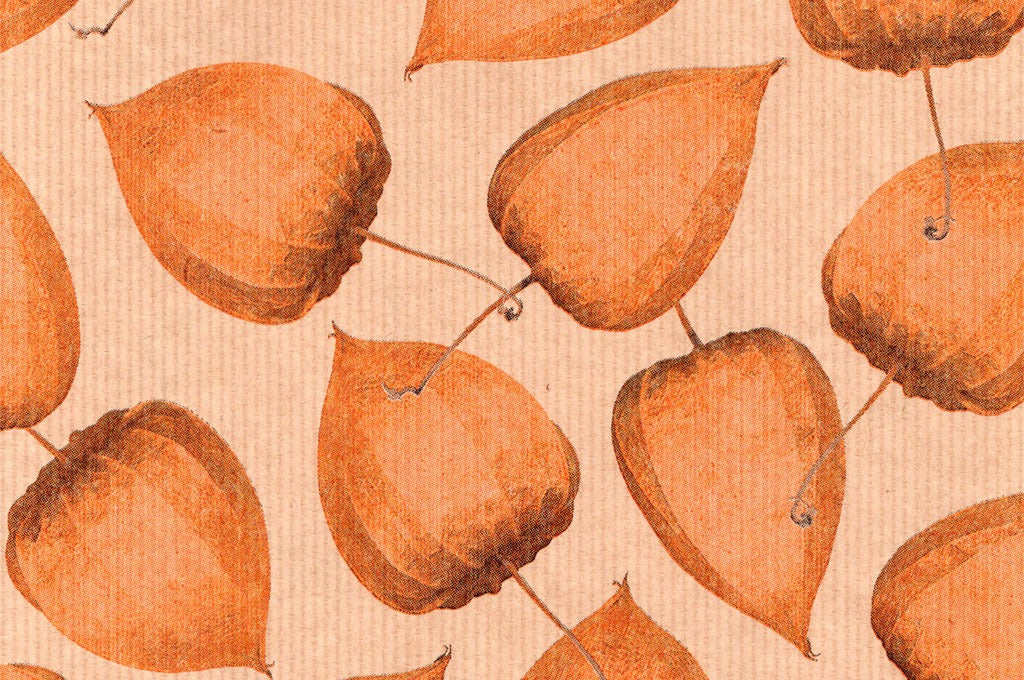 Dekopapier Physalis orange · Nr. 64173 – Dekopapierrolle 64173 (75cm breit ca. 10kg)