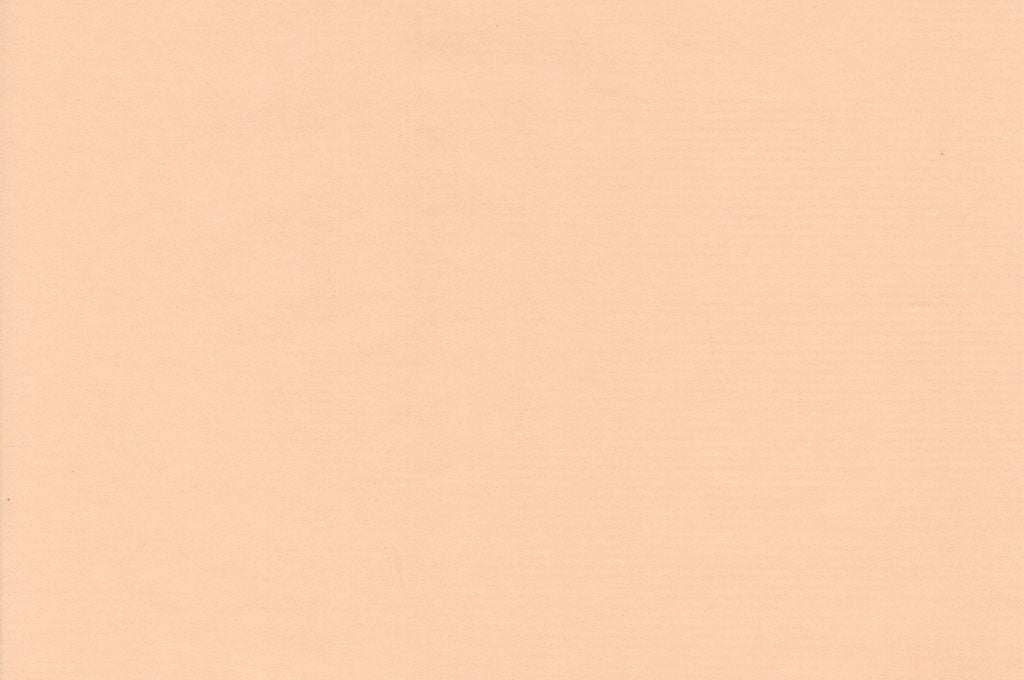Dekopapier uni Latte Macchiato (pfirsich-beige) · Nr. F221 – Dekopapierrolle Kraftpapier F221 (50cm breit)