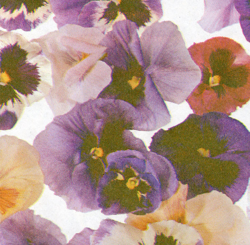 Dekopapierrolle 52920