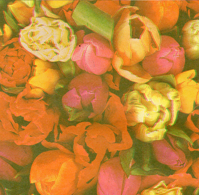 Dekopapierrolle 53630