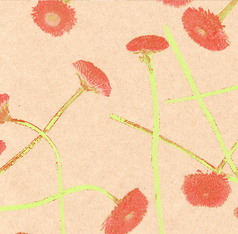 Dekopapierrolle 59950