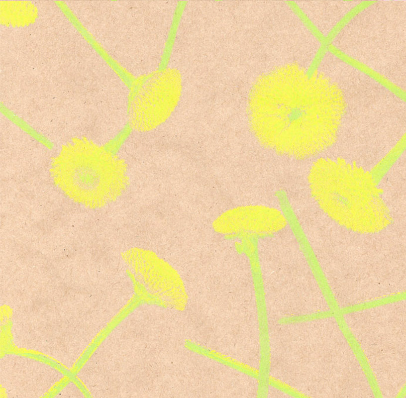 Dekopapierrolle 59952