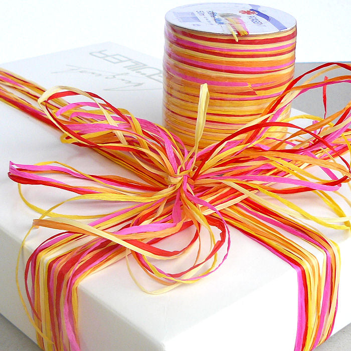 Geschenkband Raffia Multicolor 606