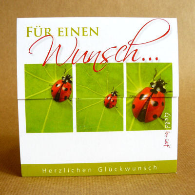 Geldgeschenk - Couvert Glückskäfer